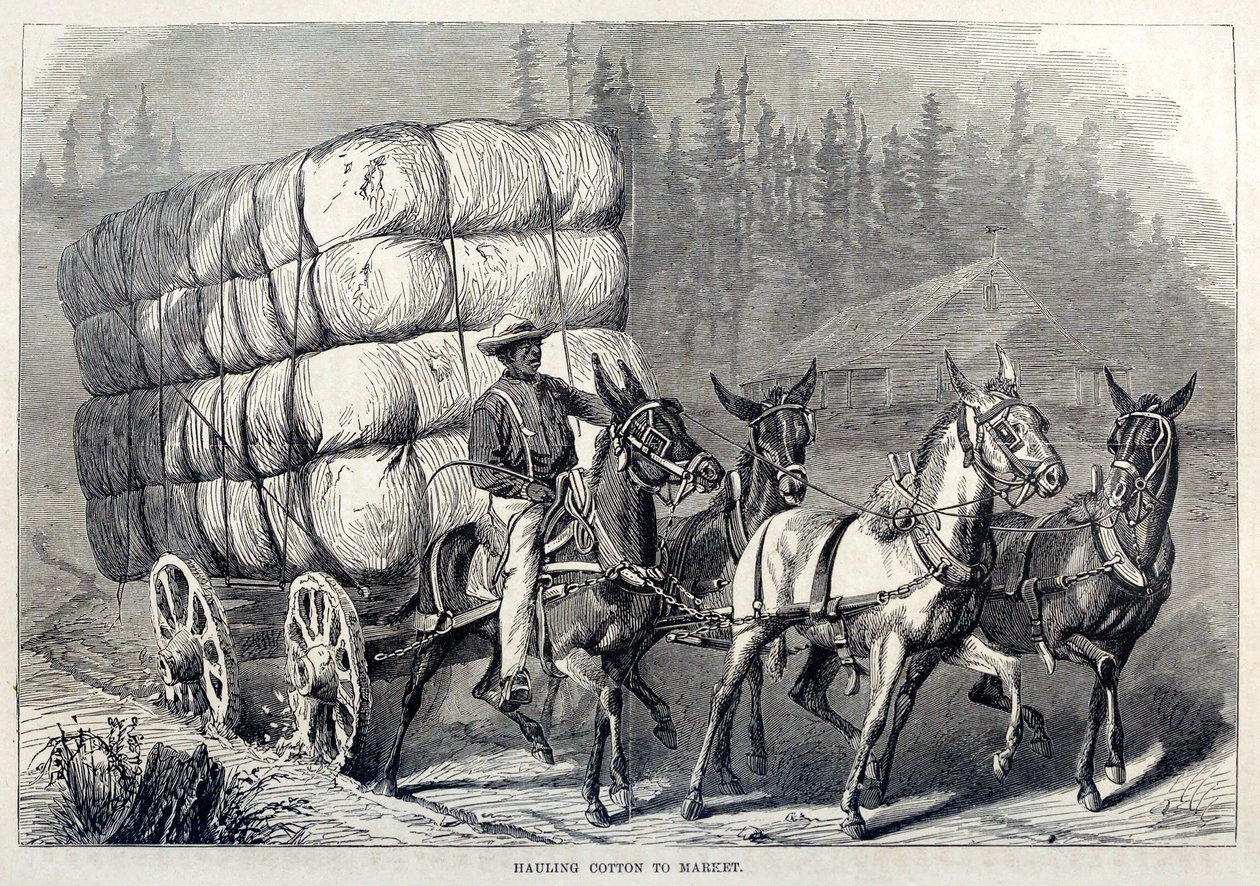 Puuvillan kuljettaminen markkinoille, Yhdysvaltain sadan vuoden edistysaskelista, pubi. 1871 kaiverrus tekijältä American School