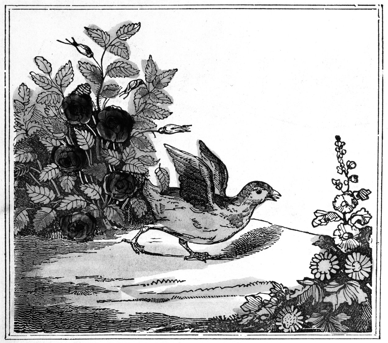 Kuvitus Merkittävästä Chicken Little -tarinasta, 1840 tekijältä American School