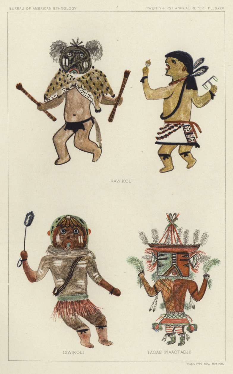 Kawikoli, Ciwikoli, Tacab (Naactadji) (värilitra) tekijältä American School