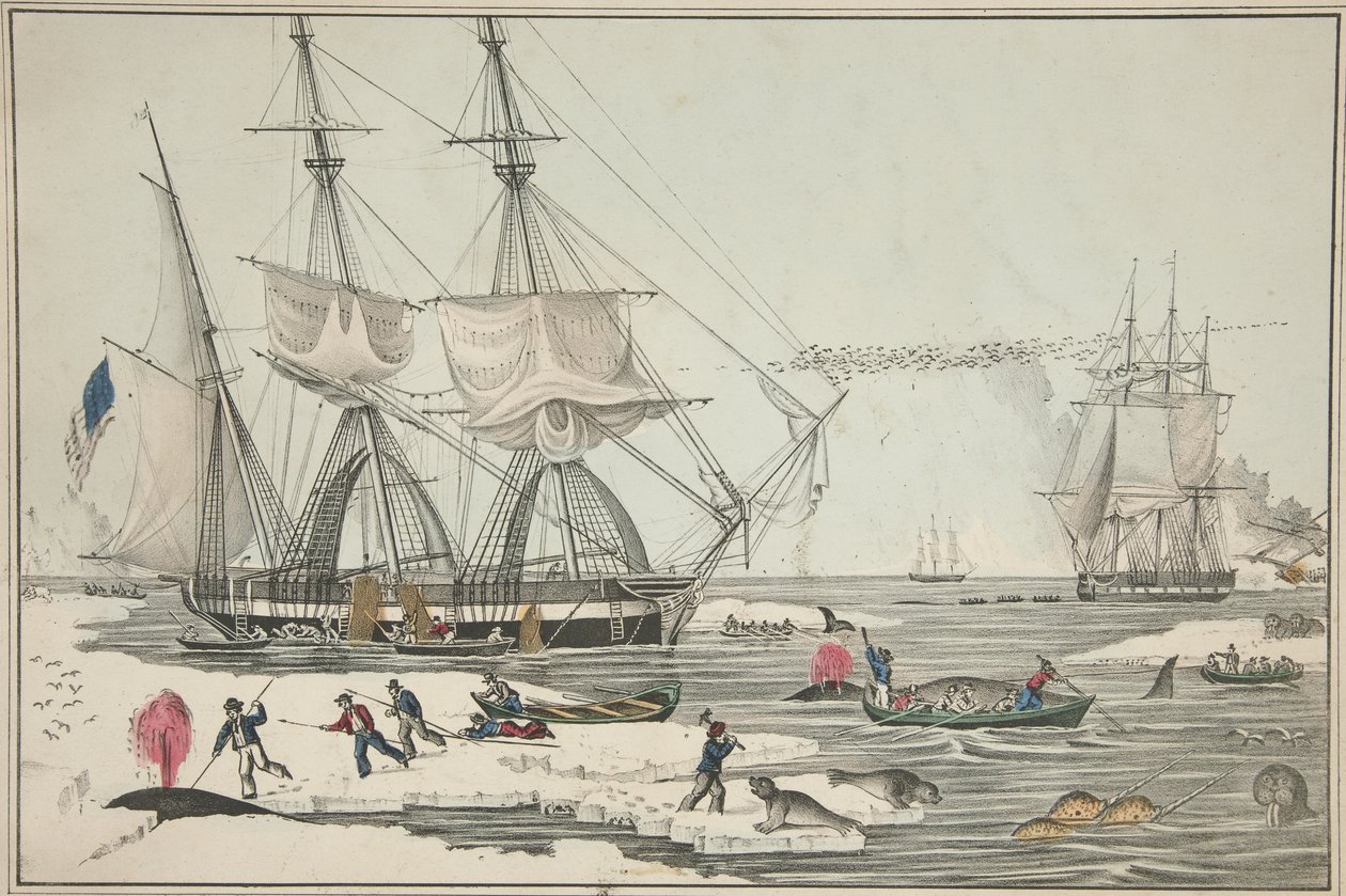 Pohjanmeren valaiden kalastus, pubi. 1860 (väri litho) tekijältä American School