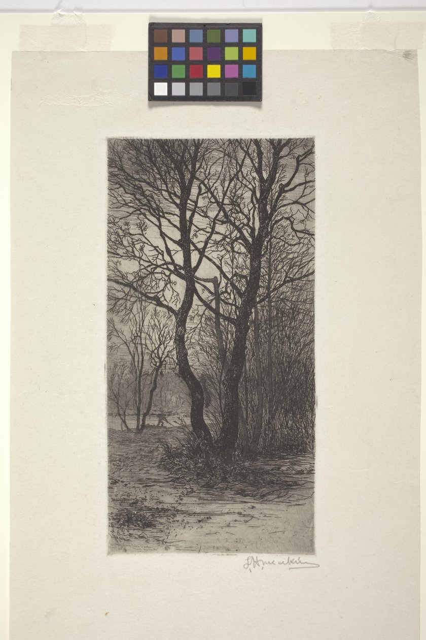 Jardim do Palácio de Nymphenburg, perto de Munique (gravura) finlandês tekijältä American School