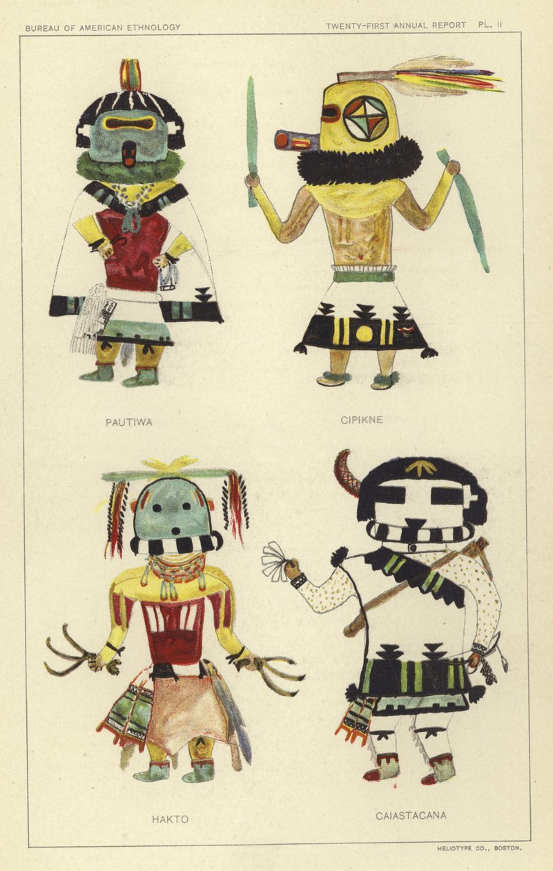 Pautiwa, Cipikne, Hakto, Caiastacana (väriliitos). tekijältä American School