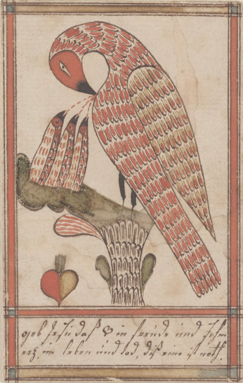 Pelikaani hurskaudessaan, n. 1800 (muste ja wc paperilla) tekijältä American School