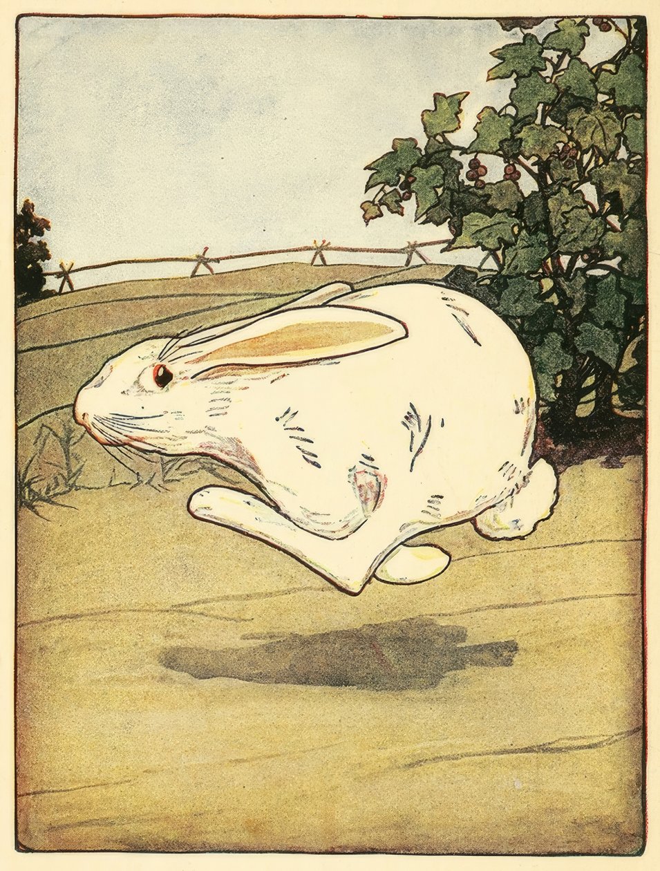 Peter ei koskaan lopettanut juoksemista, elokuvasta The Tale of Peter Rabbit tekijältä American School