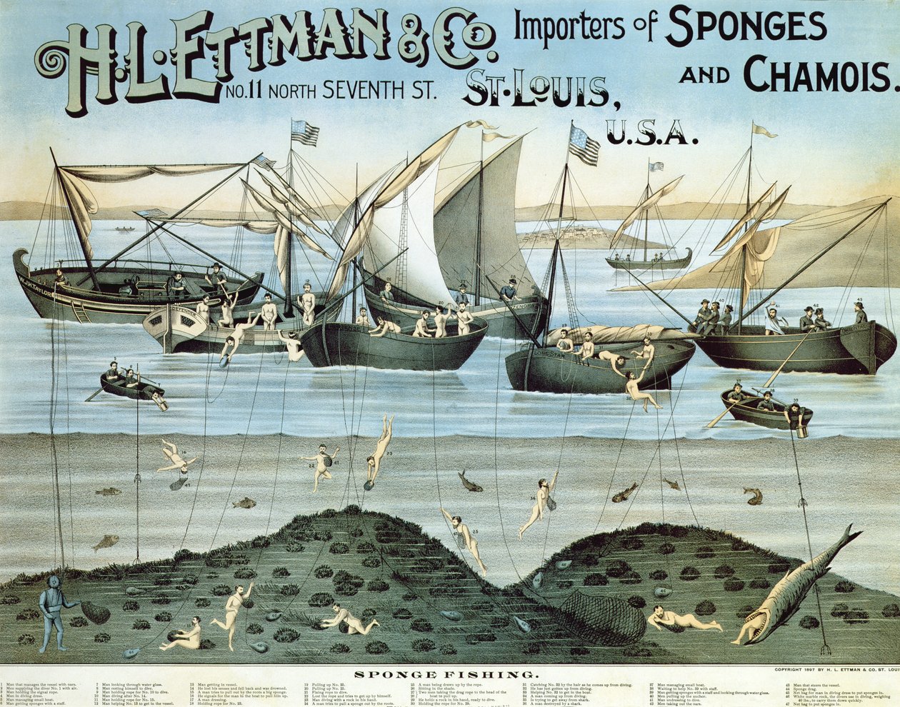 Mainosjuliste H.L. Ettman & Co., Sienten ja säämiskän maahantuojat, 1897 tekijältä American School