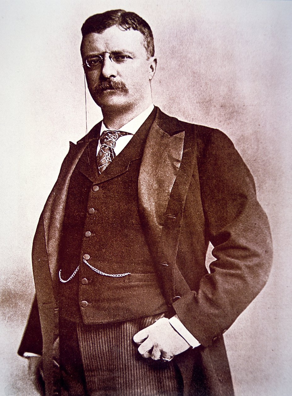 Presidentti Theodore Roosevelt (litho) tekijältä American School