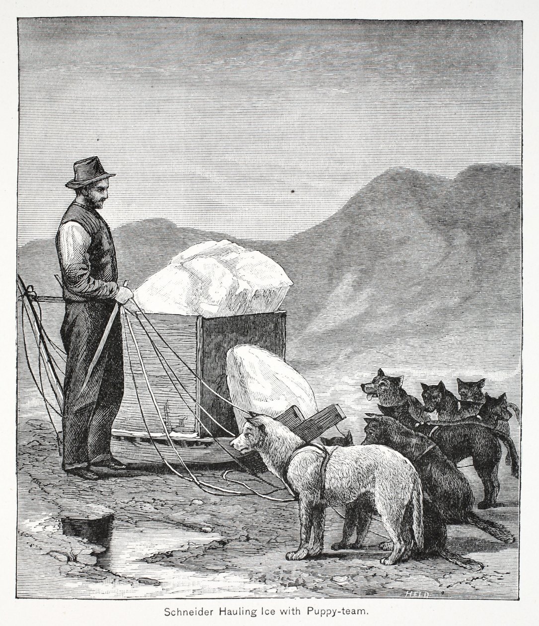 Schneider vetää jäätä Puppy-tiimin kanssa, pubi. Lontoo 1886 tekijältä American School