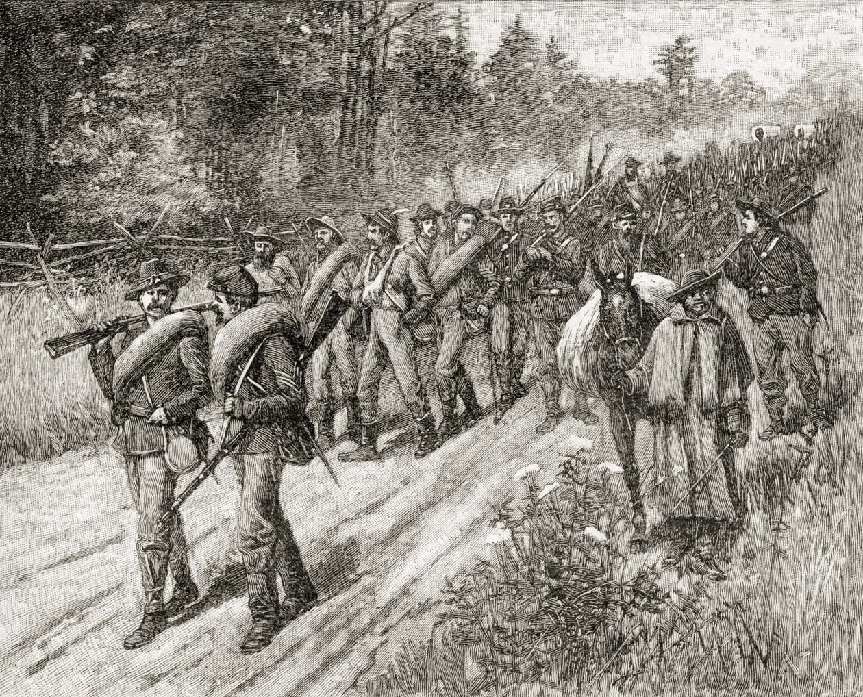Shermanin armeija marssi merelle vuonna 1865, A. S. Barnes und Co.:n vuonna 1885 julkaisemasta teoksesta A Brief History of the United States tekijältä American School