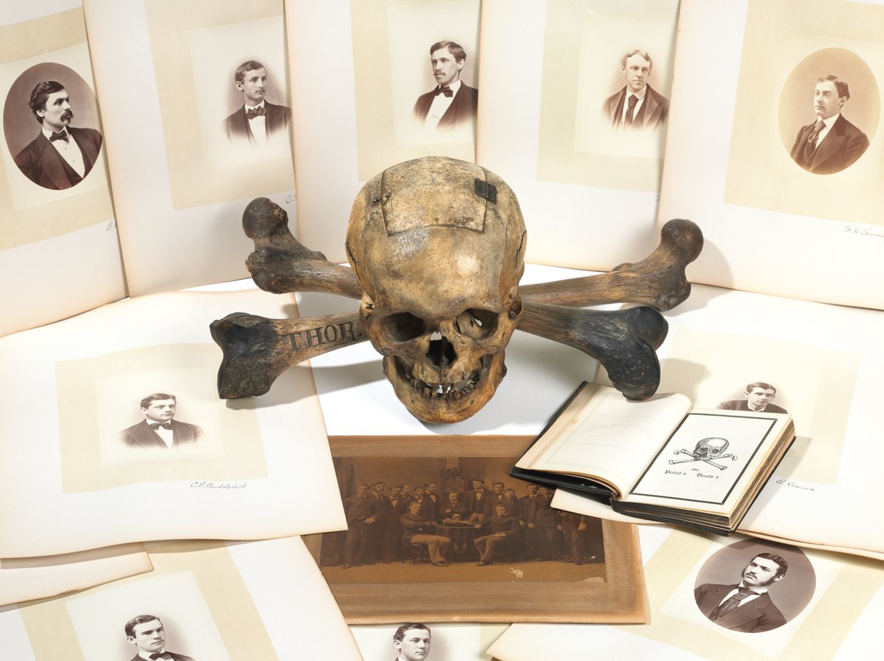 Skull-and-Bones -äänesurna tekijältä American School
