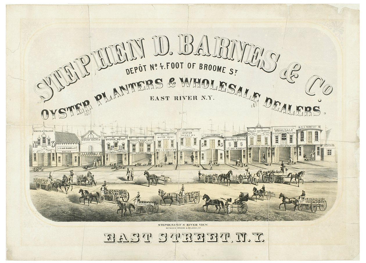 Stephen D. Barnes & Co. Oyster-istutuskoneet ja tukkumyyjät, varasto no. 4 jalkaa Broome Streetiltä tekijältä American School