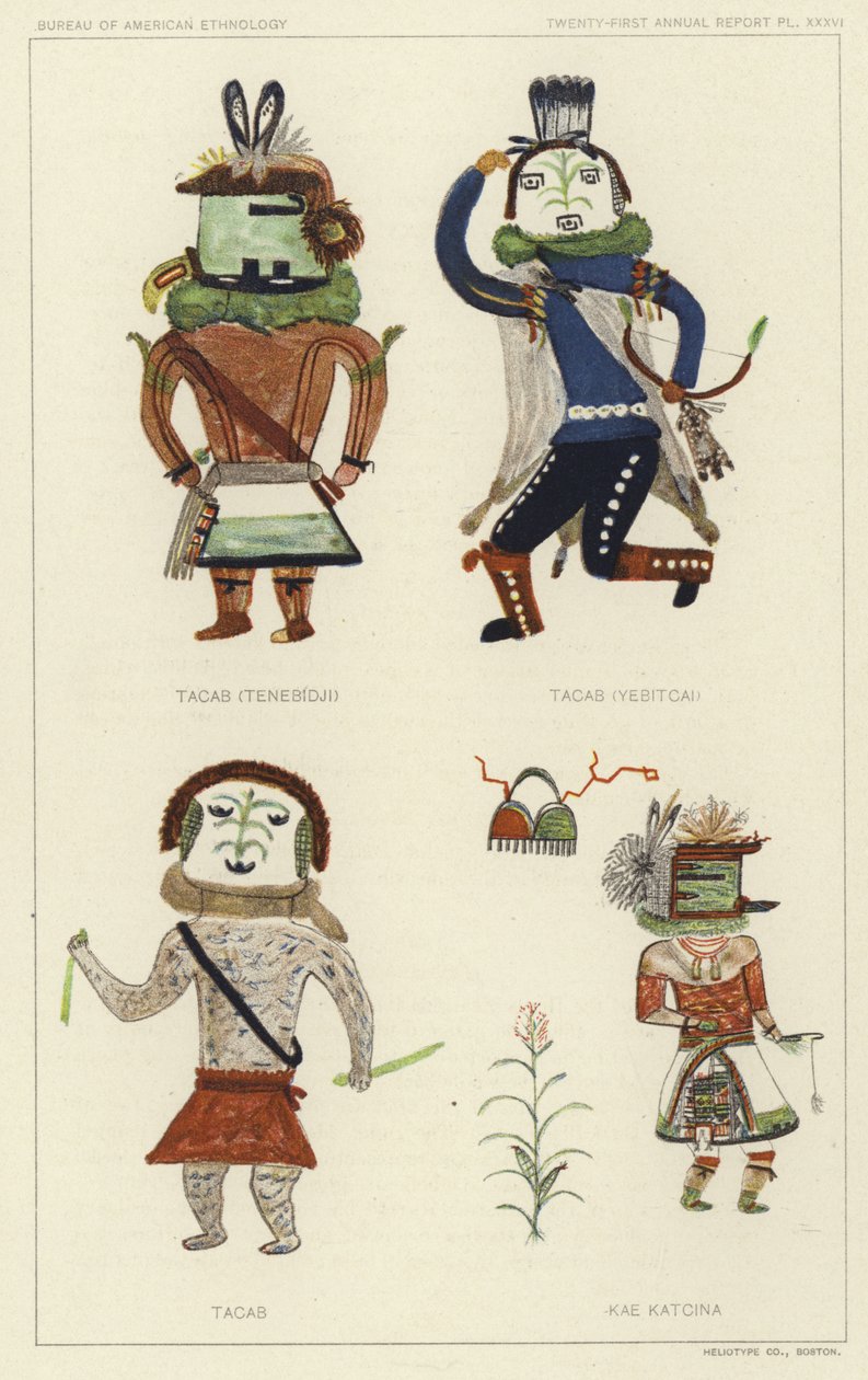 Tacab (Tenebidji), Tacas (Yebitcai), Tacab, Kae Katcina (väriliitos). tekijältä American School