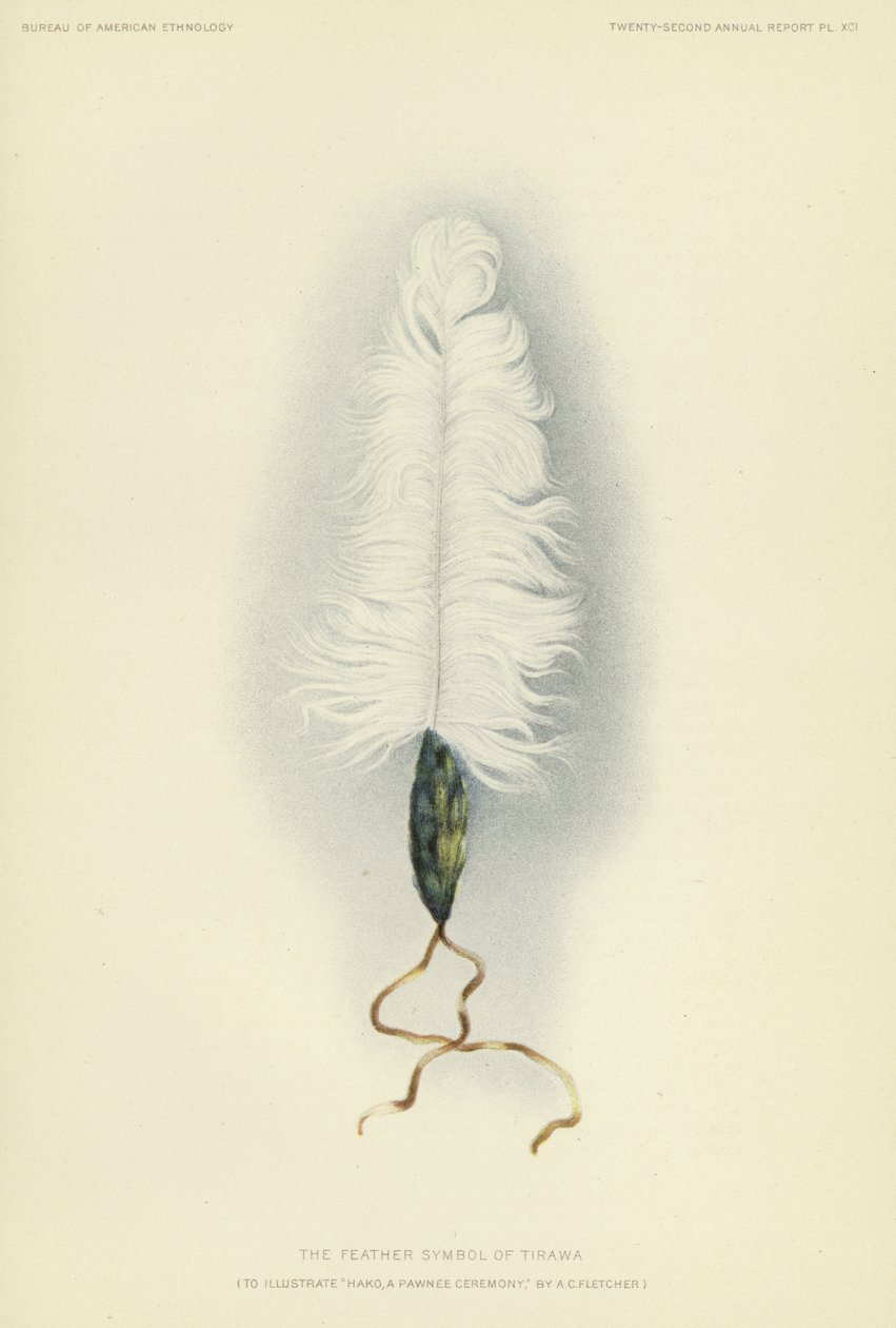 Tirawan höyhensymboli (värilitografia) tekijältä American School