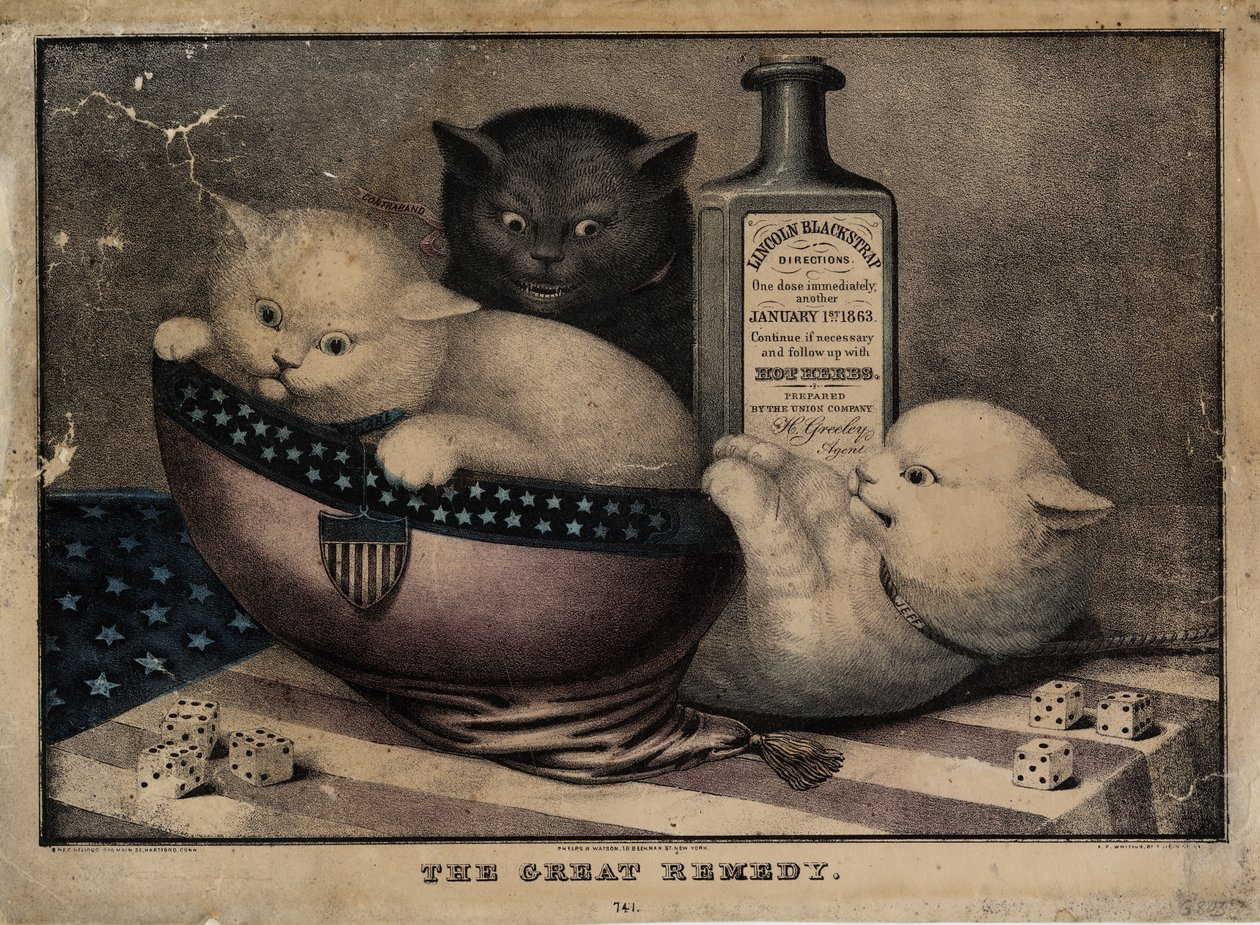 Suuri lääke, julkaisija E.B. ja E.C. Kellogg, Hartford Ct., ja Phelps and Watson, New York, ja F.P. Whiting, New York, n. 1863 tekijältä American School