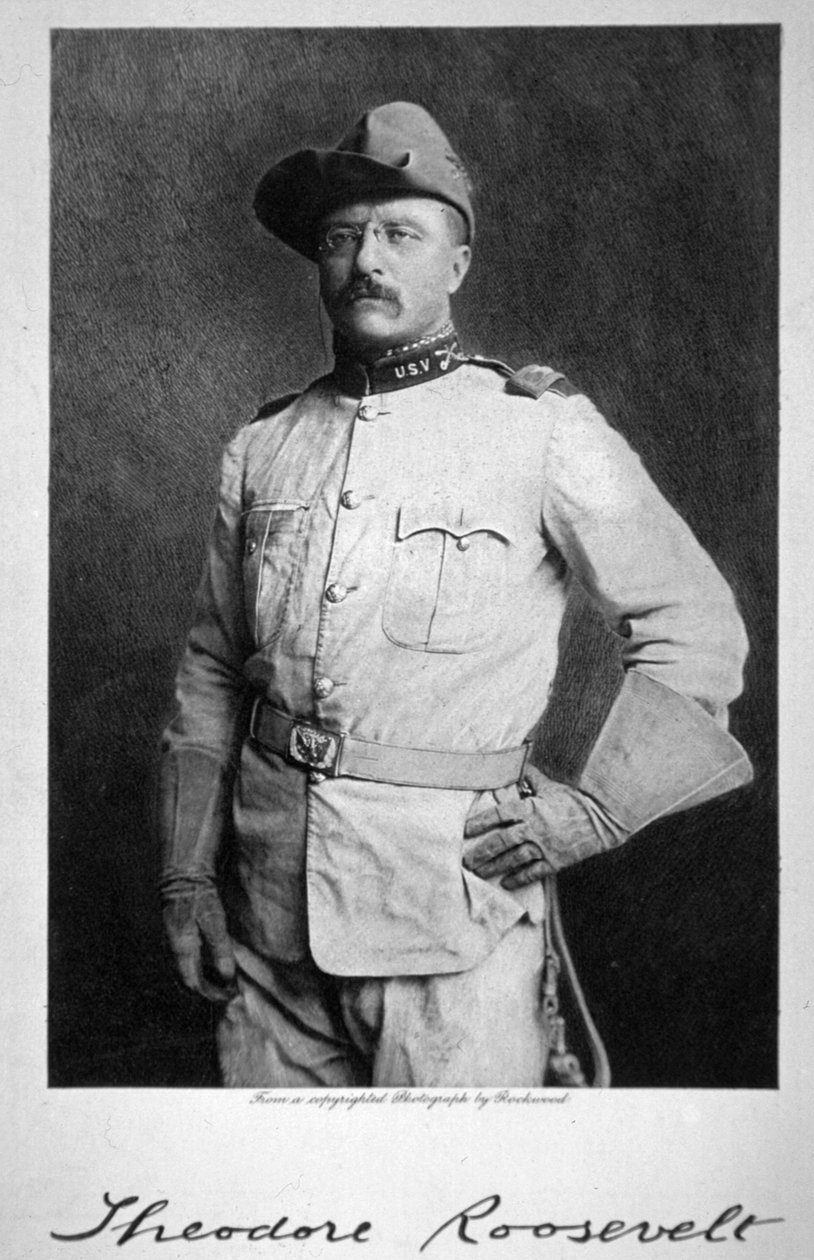 Theodore Roosevelt tekijältä American School