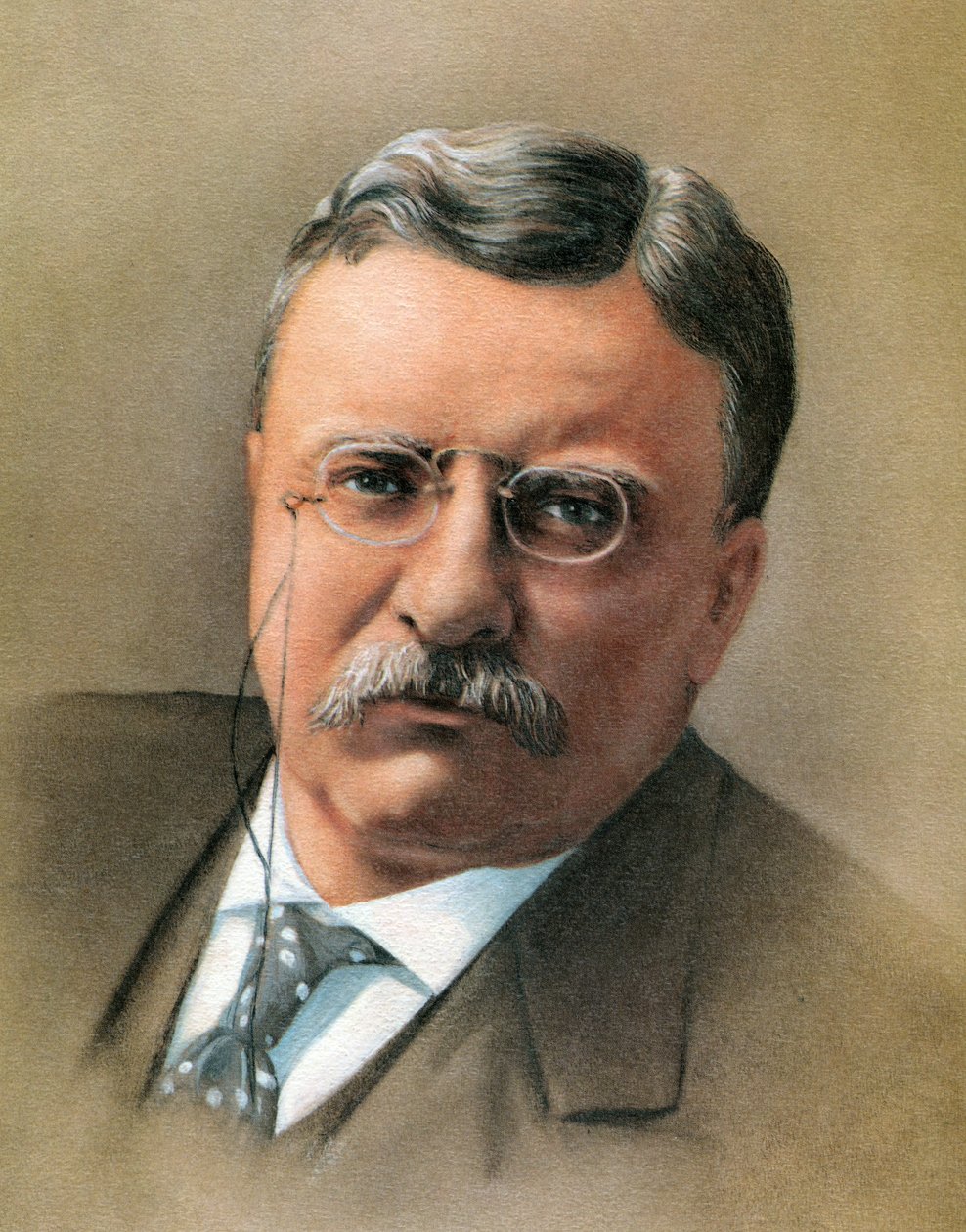 Theodore Roosevelt tekijältä American School