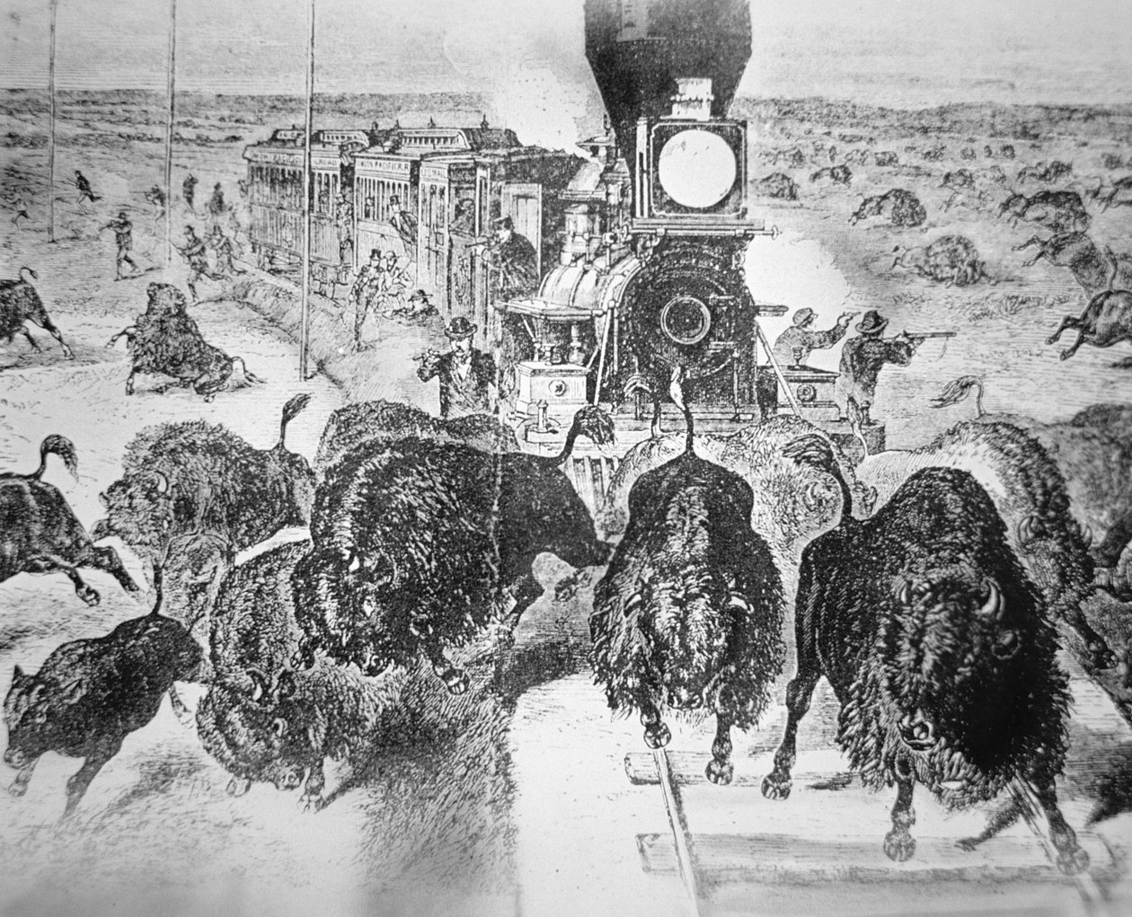 Juna matkustajia Kansas Pacific Railroadilla ampumassa puhveleita urheilun vuoksi 1870-luvulla (litho) tekijältä American School