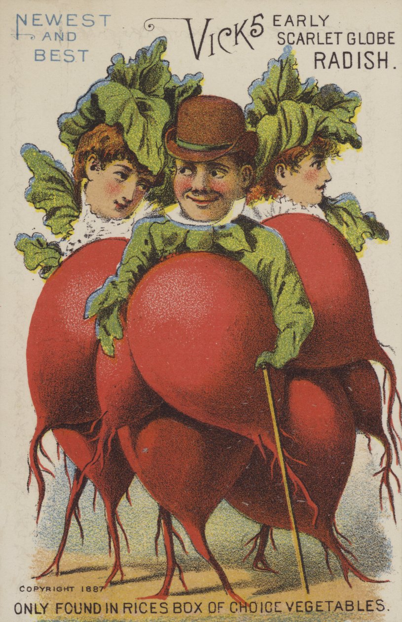 Vicks Early Scarlet Globe retiisi (chromolitho) tekijältä American School