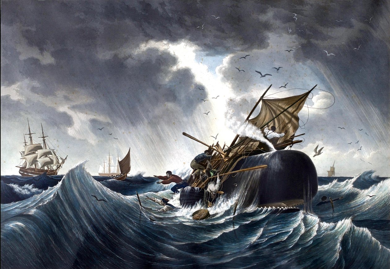 Whale Destroying Whaling Ship, n.1875 (akvarelli paperille) tekijältä American School