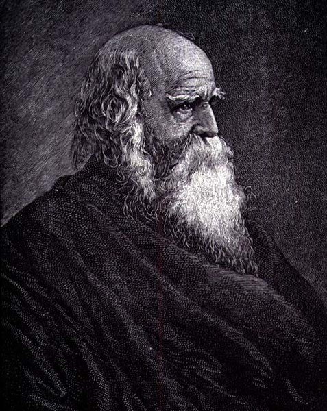 William Cullen Bryant (kaiverrus) tekijältä American School