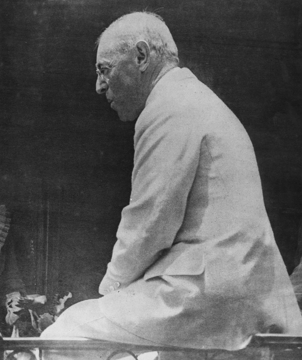 Woodrow Wilson (1856-1924) Yhdysvaltain 28. presidentti, Le Miroirista, 1918 tekijältä American School