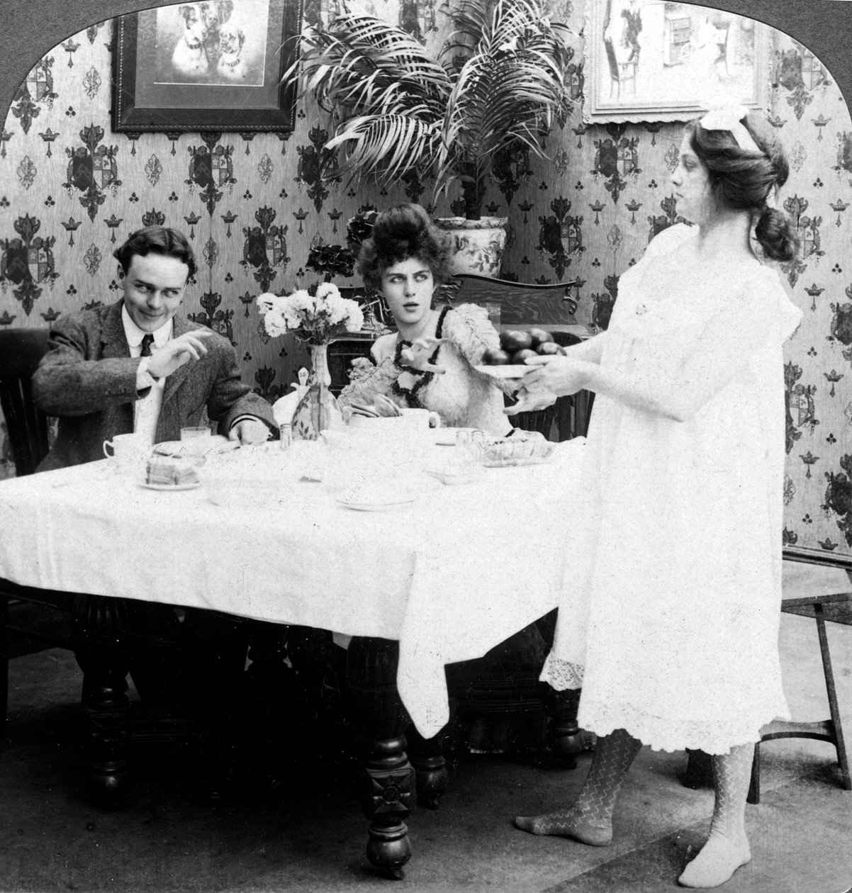 Kuinka Biddy tarjoili tomaatit riisumattomina. tekijältä American Stereoscopic Company