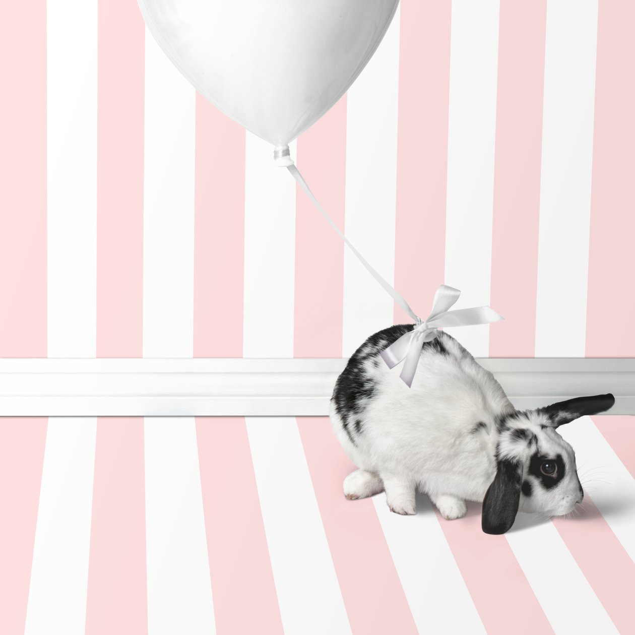 Puput 04, 2018 (valokuvaus) tekijältä Ana Carolina Tavares Mizrahi