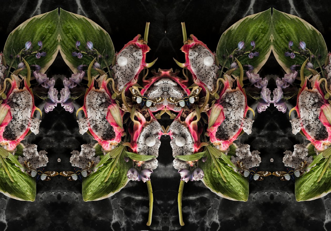 Eve_01, 2016 (Valokuvaus) tekijältä Ana Carolina Tavares Mizrahi