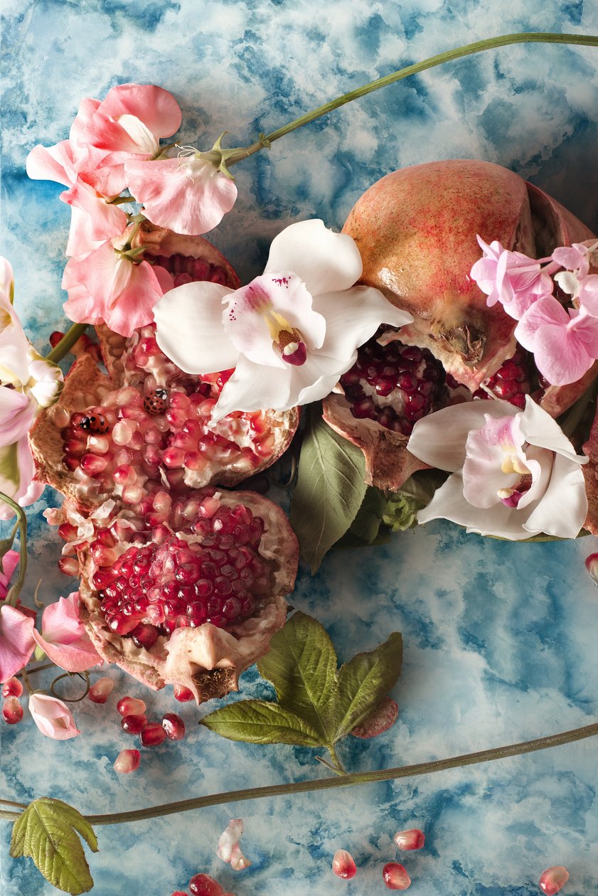 Eve_07, 2016 (Valokuvaus) tekijältä Ana Carolina Tavares Mizrahi