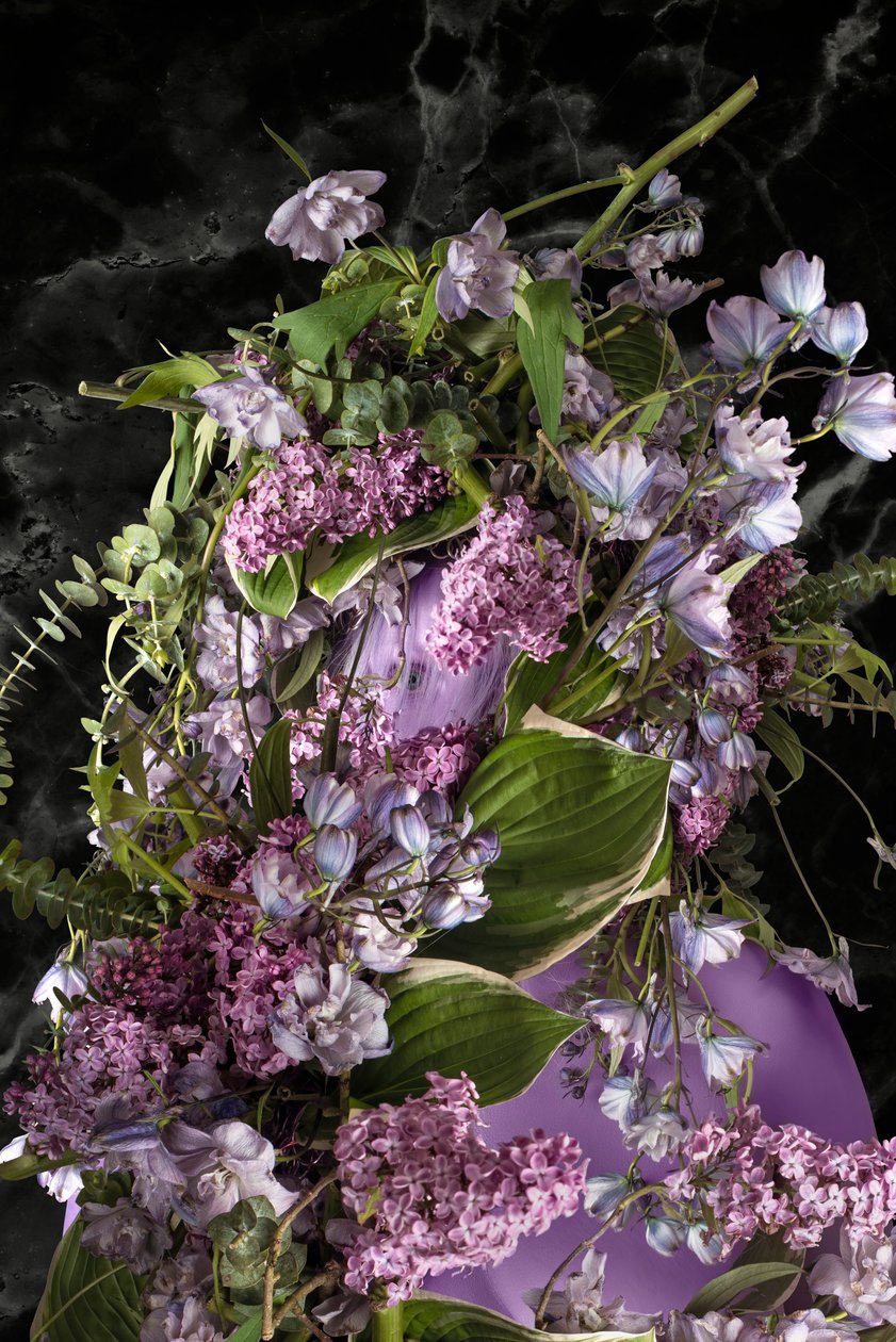 Eve_12, 2016 (Valokuvaus) tekijältä Ana Carolina Tavares Mizrahi