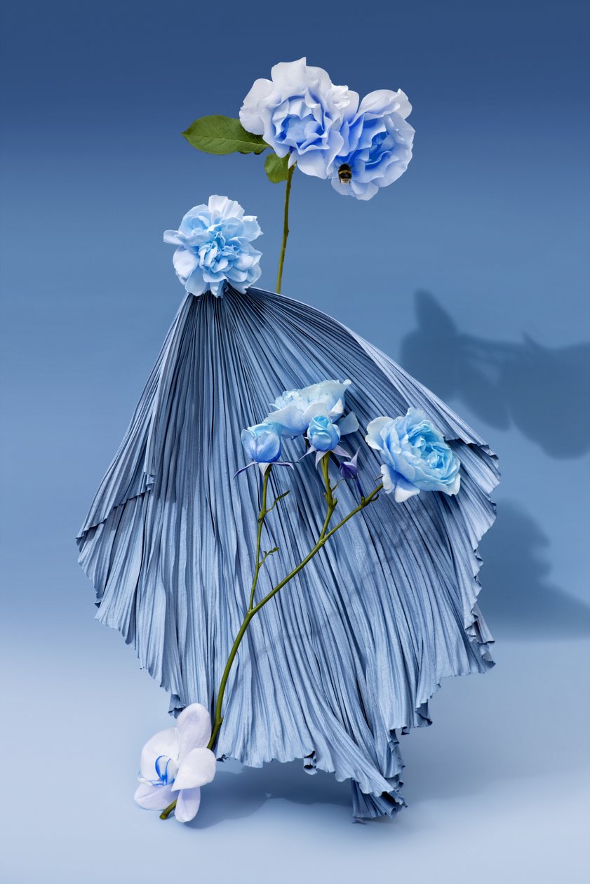 Ikebana 03, 2018 (valokuvaus) tekijältä Ana Carolina Tavares Mizrahi