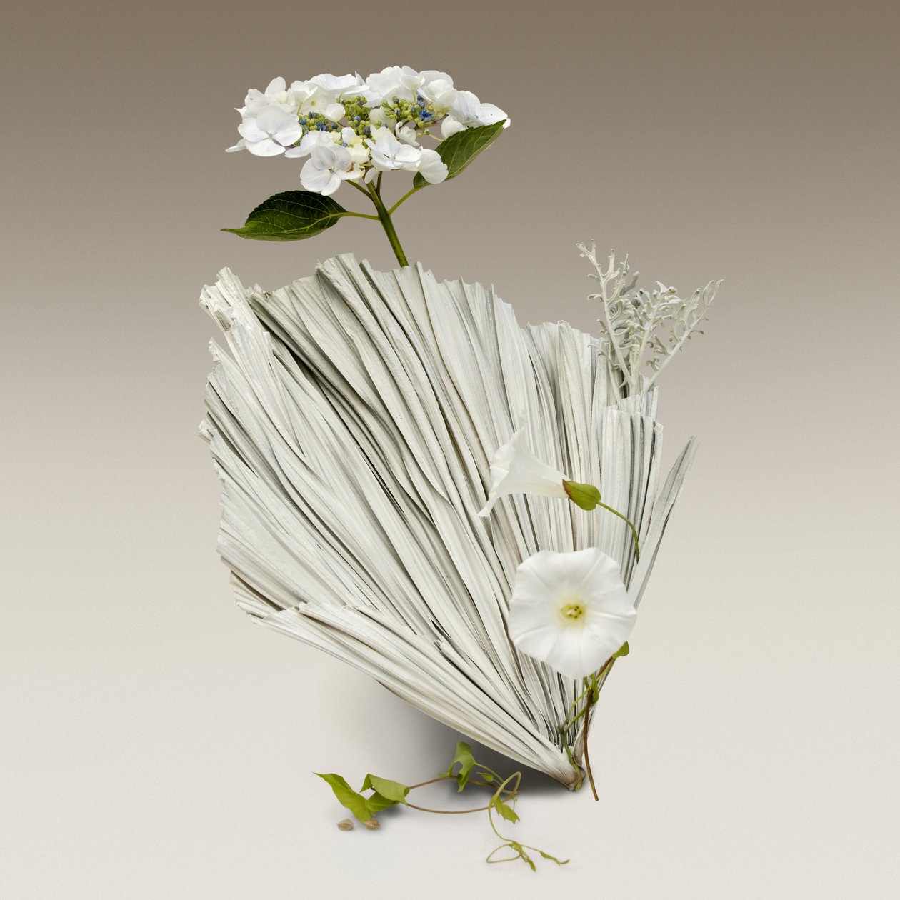 Ikebana 08, 2018 (valokuvaus) tekijältä Ana Carolina Tavares Mizrahi