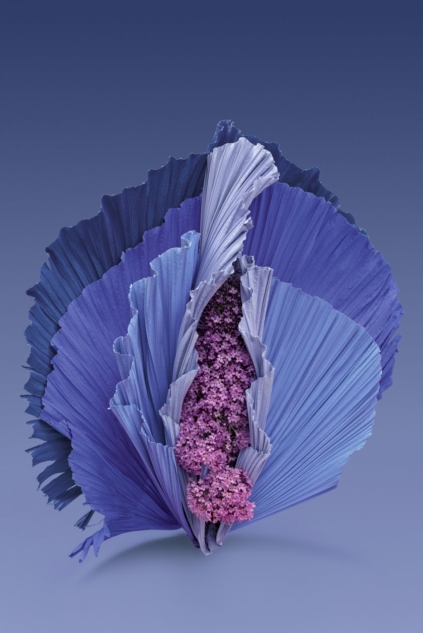 Ikebana 11, 2018 (valokuvaus) tekijältä Ana Carolina Tavares Mizrahi