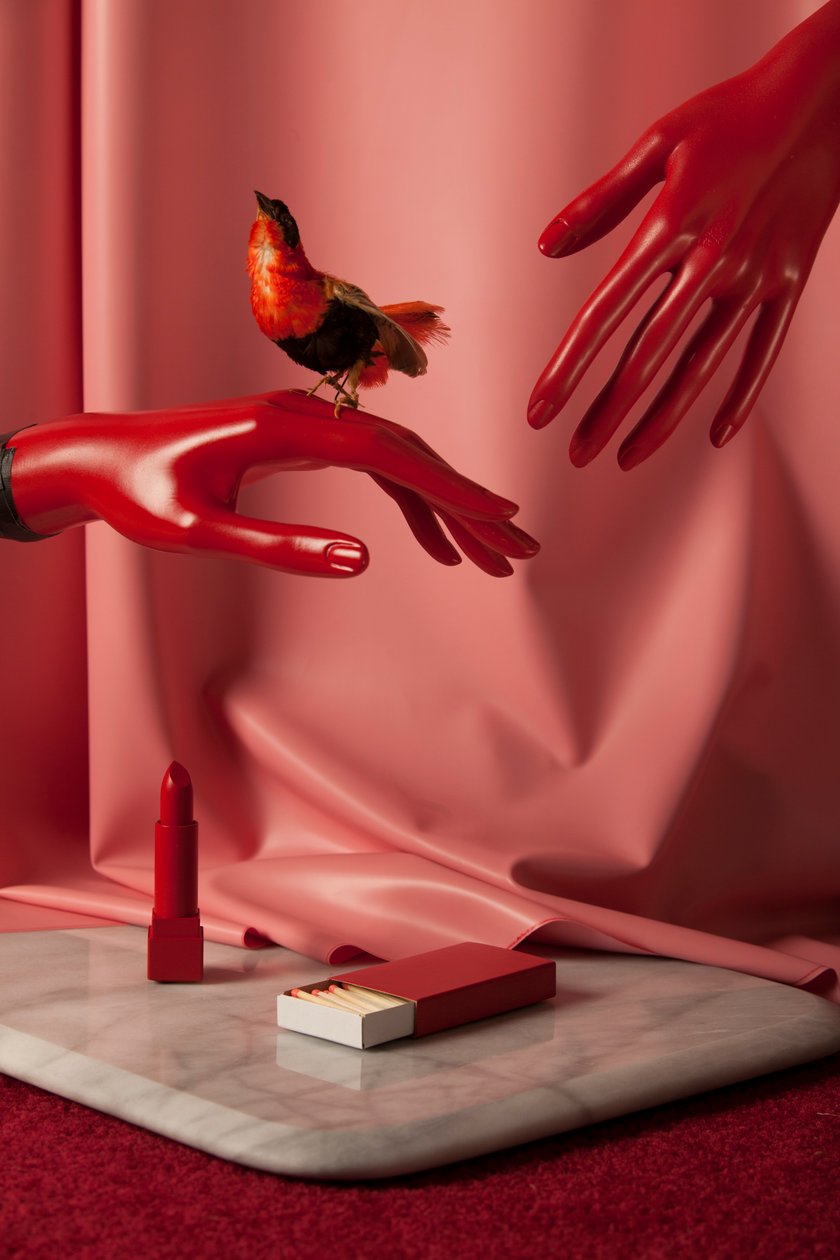 Rubi_08, 2015 (valokuvaus) tekijältä Ana Carolina Tavares Mizrahi