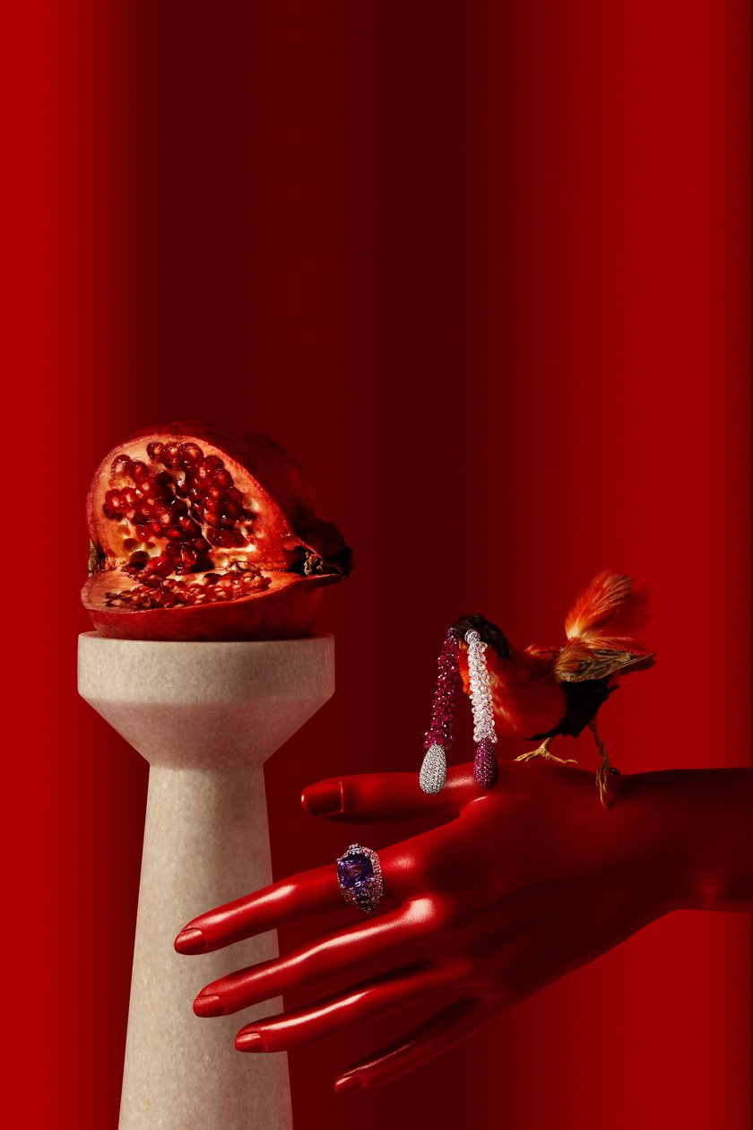 Rubi_09, 2015 (valokuvaus) tekijältä Ana Carolina Tavares Mizrahi