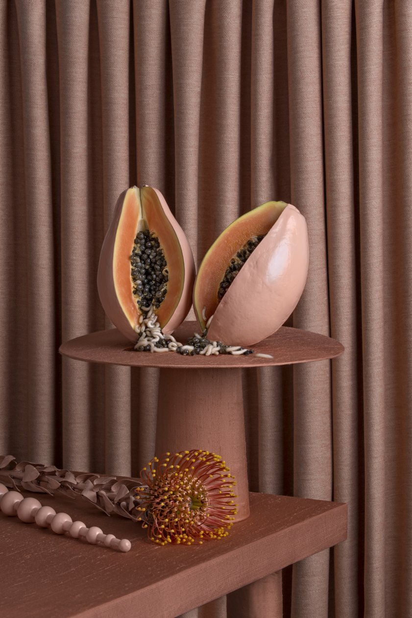 The _Farewell_Party_02, 2016 (valokuvaus) tekijältä Ana Carolina Tavares Mizrahi