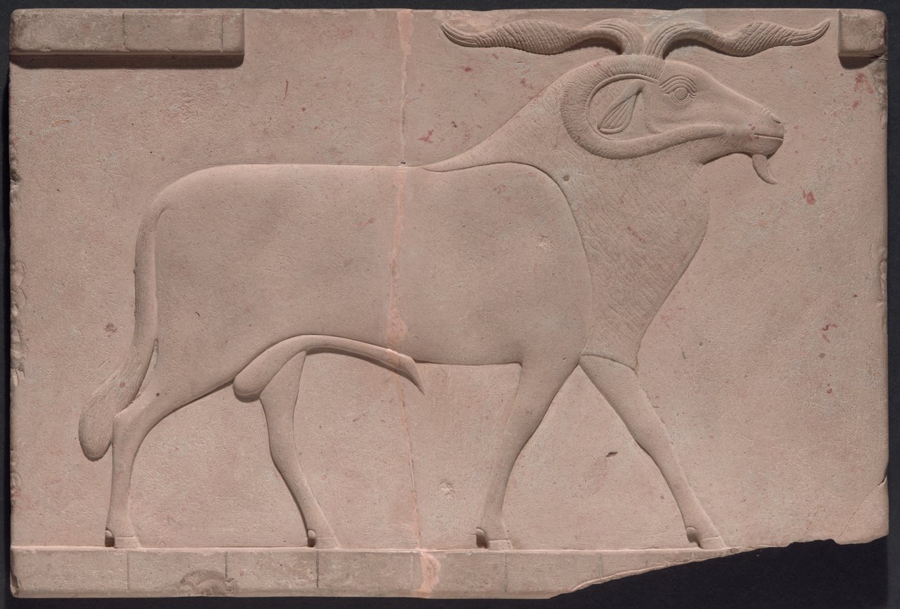 Laatta, joka kuvaa oinasta tekijältä Ancient Egyptian