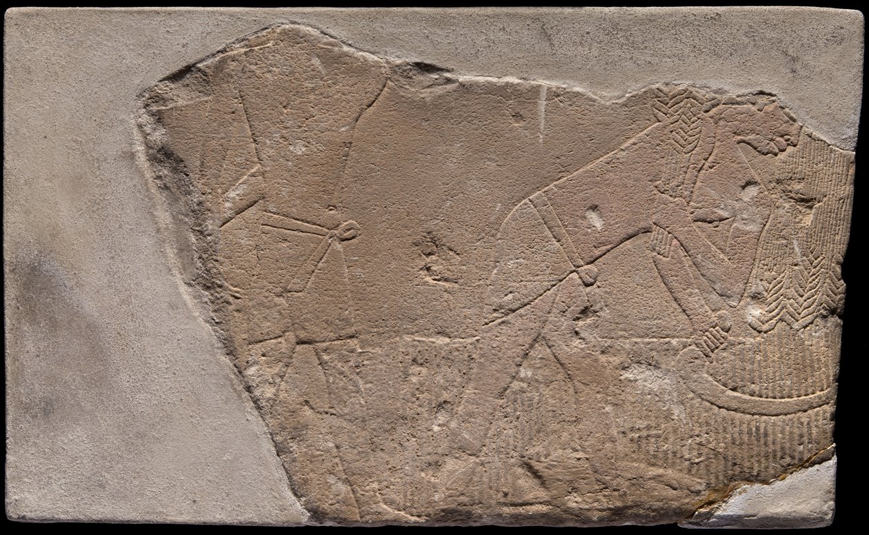 Haudan seinän katkelma, joka kuvaa sadonkorjuukohtausta. tekijältä Ancient Egyptian