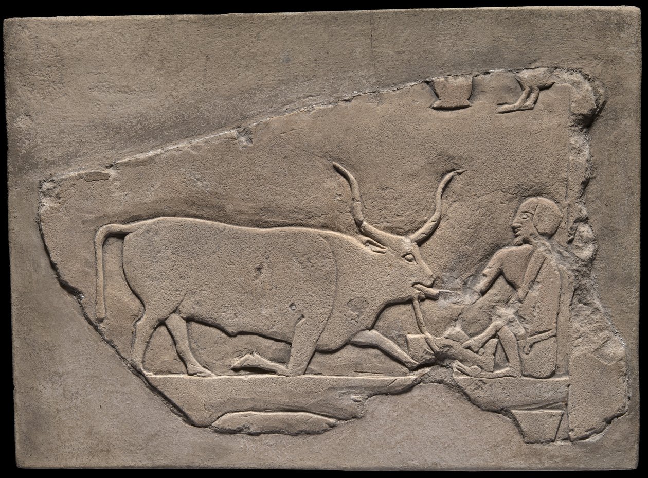 Paimentolaismiestä esittävä seinän katkelma haudasta tekijältä Ancient Egyptian