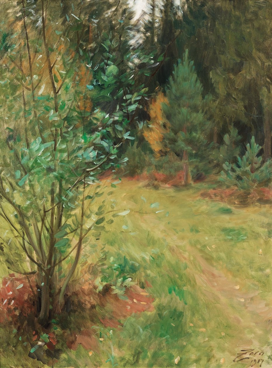 Maisema Gopsmorilta tekijältä Anders Leonard Zorn