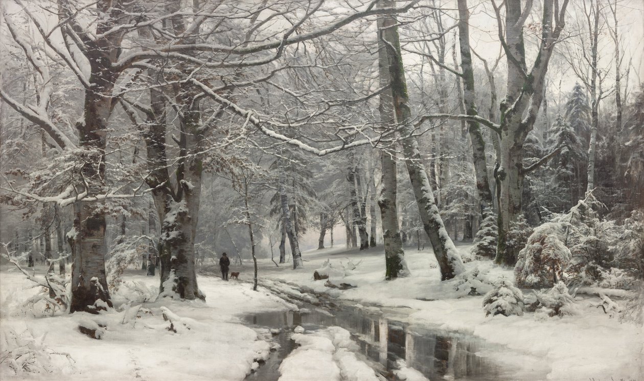 Pakkas sää pyökkimetsässä tekijältä Anders Andersen Lundby