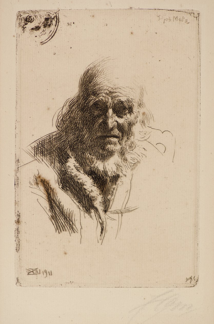 Vanhan miehen pää tekijältä Anders Leonard Zorn