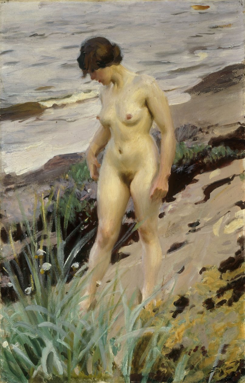 Sandhamnin tutkimus, 1914 tekijältä Anders Leonard Zorn