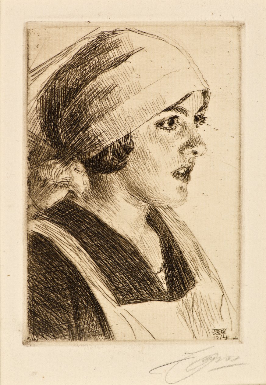 Tutkimus naisesta tekijältä Anders Leonard Zorn