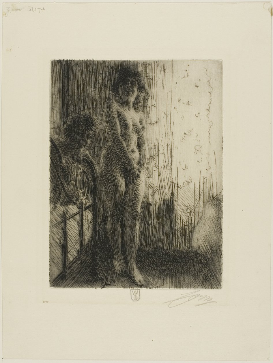 Pimeä Kulma tekijältä Anders Leonard Zorn