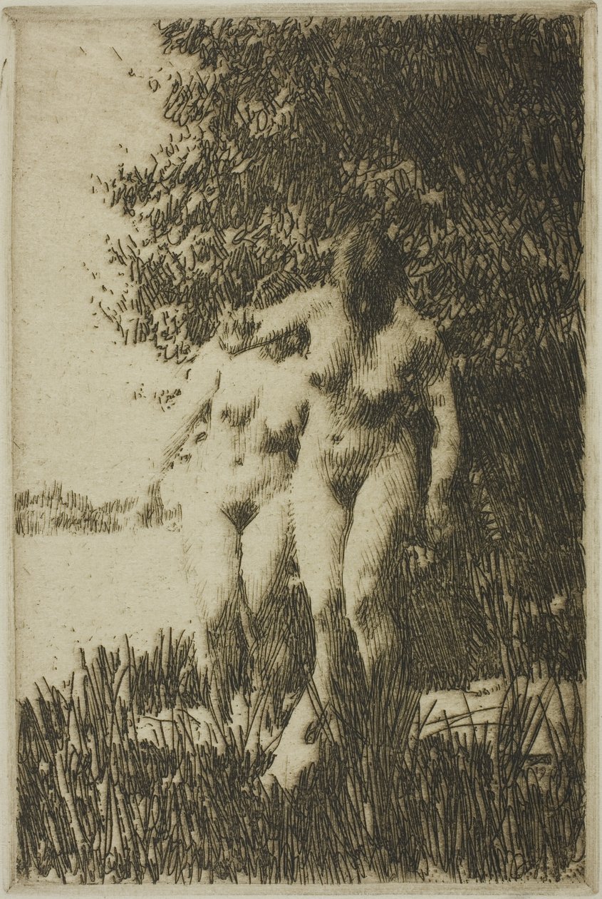 Leppä tekijältä Anders Leonard Zorn