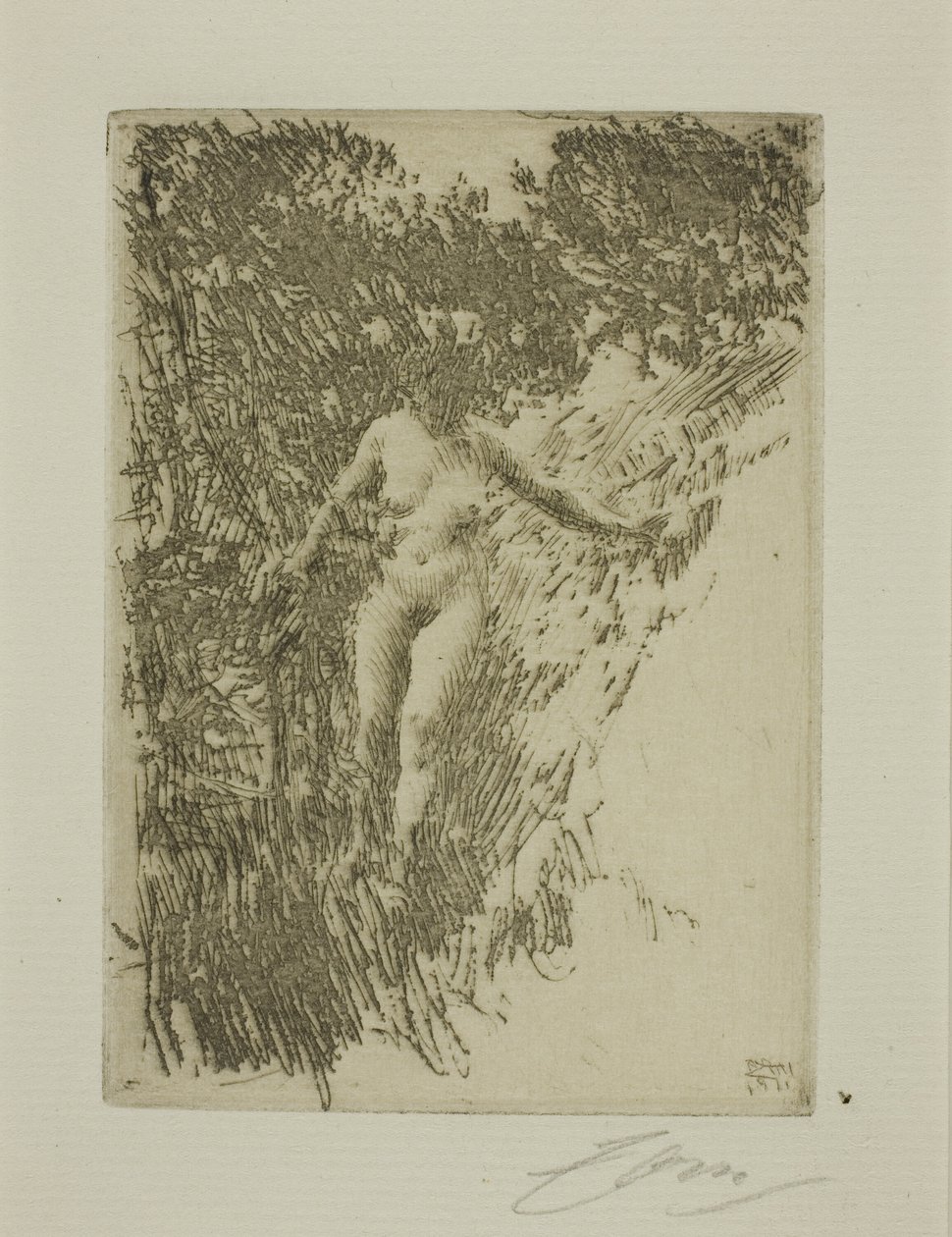 Brushwood tekijältä Anders Leonard Zorn