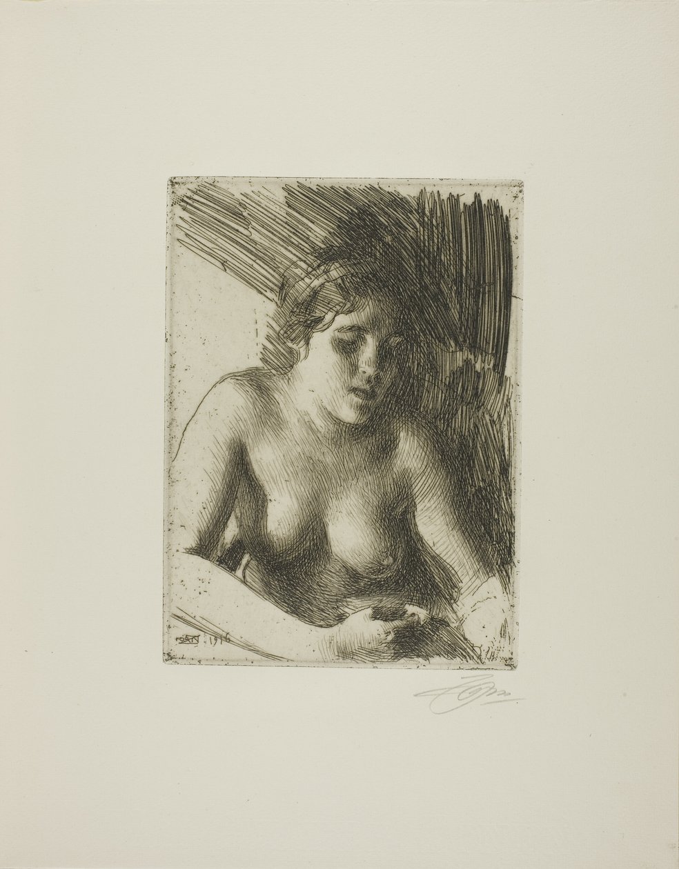 Rintakuva tekijältä Anders Leonard Zorn
