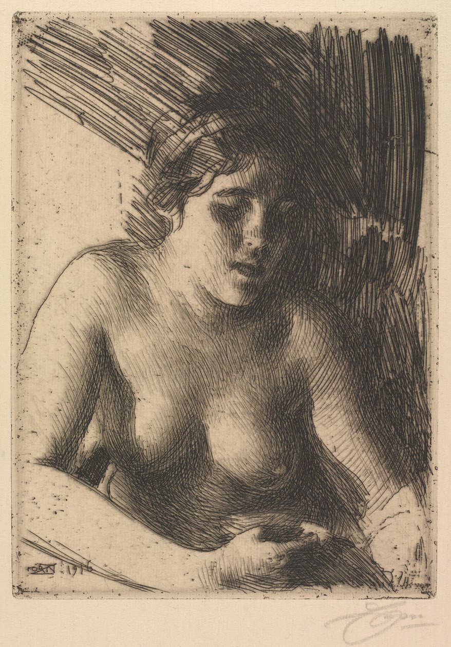 Rintakuva tekijältä Anders Leonard Zorn