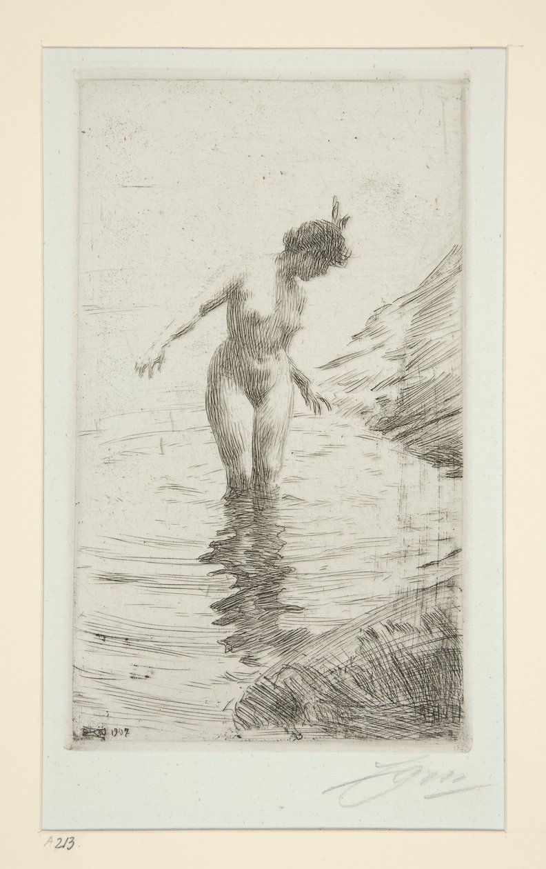 ympyrät d tekijältä Anders Leonard Zorn