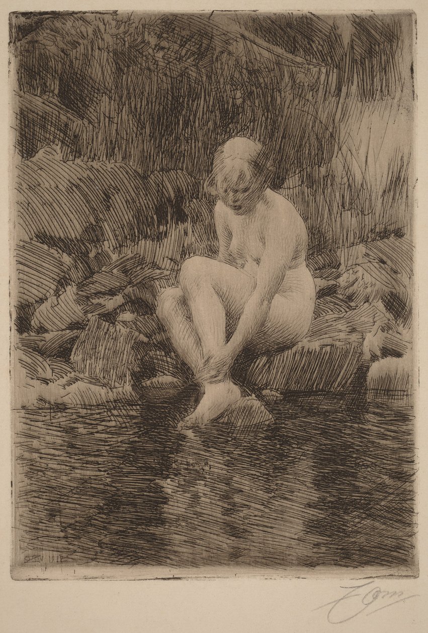 Dagmar tekijältä Anders Zorn